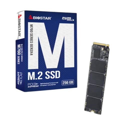 BIOSTAR M.2 2280 PCIe NVMe Gen3 256GB M760 SSD (M760-256GB)