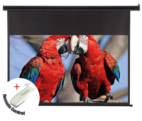 SkyPro Electric Projector Screen 210cm x 210cm with RF Remote Control (SP-ELC210)