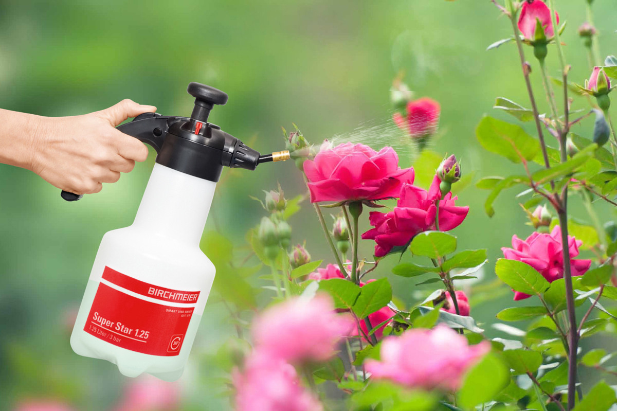 Birchmeier 11963101 Super Star 1.25 Handheld Sprayer - Spraywell