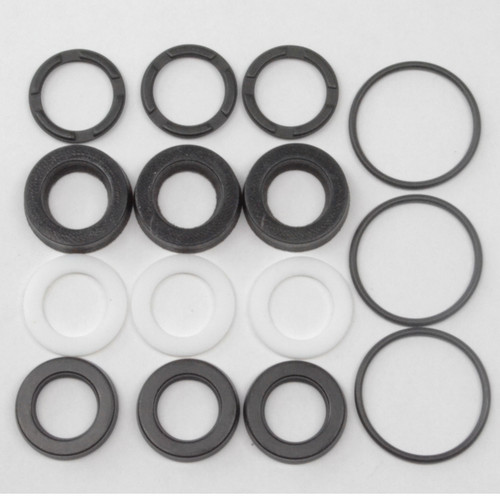 Comet 5019.0086.00 Seal Kit for AXD Pumps