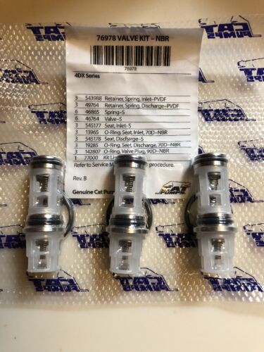 CAT 76978 Valve Kit for 4DX Pumps - Spraywell