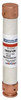 Gould TRS3/10R Fuse Accessories