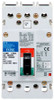 Eaton EGS3125FFB Molded Case Breakers (MCCBs)