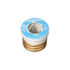 Bussmann T-12 Fuses