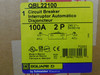 Square D QBL22100 Molded Case Breakers (MCCBs) QBL 2P 100A 240V 50/60Hz 2Ph Q Frame EA