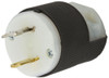 Hubbell HBL7545C Plugs EA