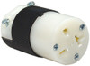 Hubbell HBL5469C Plugs