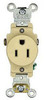 Pass & Seymour 5251-I Surge Protection Devices (SPDs)