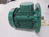 Emerson LS71M/T Electric Motors 1.3A 400V