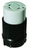 Morris 89758 Plugs EA