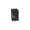 Square D HOM2100 Miniature Circuit Breakers (MCBs) 2P 100A 120V EA