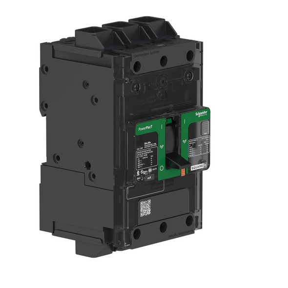 Square D BGL36060 Miniature Circuit Breakers (MCBs)