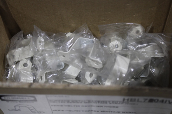 Hubbell HBL7504IV-LOT-6/19/2025 Raceway Fittings
