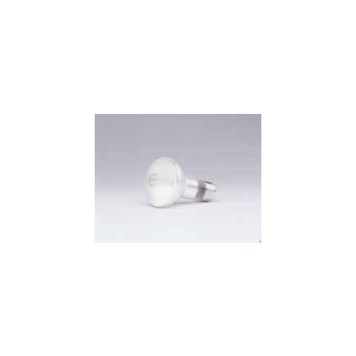 Sylvania 45R20/130V Bulb/Ballast/Driver Accessories