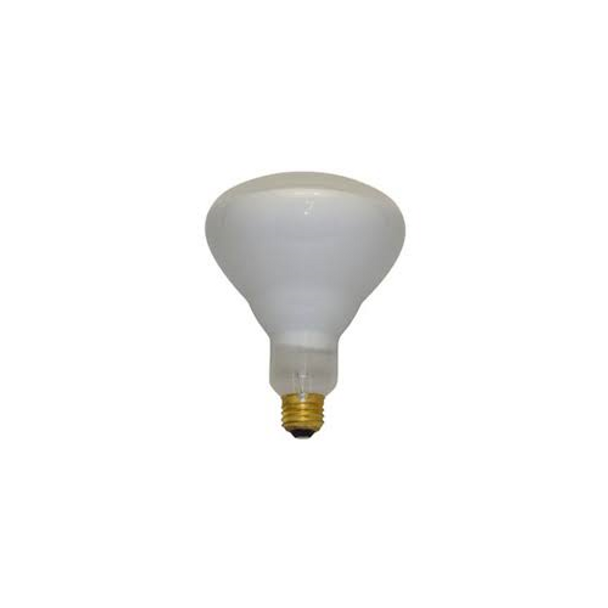GE 120R/FL/COMM Other Bulbs/Ballasts/Drivers