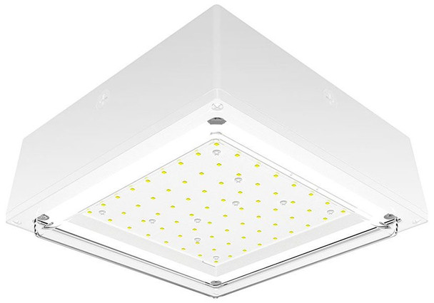RAB VANLED40NW LED Lighting
