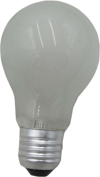 Bailey Lights G27024060F Miniature and Specialty Bulbs Bulb 60A 24V 60W