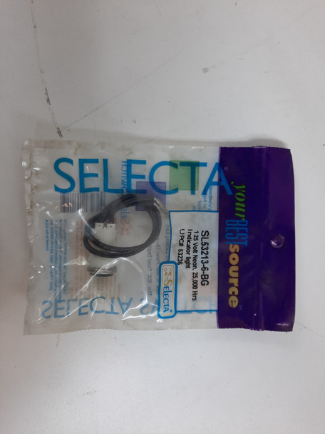 Selecta SL53213-6-BG Occupancy Switches Neon Indicator 125V Green 25,000 Hours