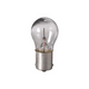 Miniature and Specialty Bulbs