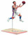 TMP NBA Series 21 Jeremy Lin Action Figure Case--McFarlane -- AUG121832