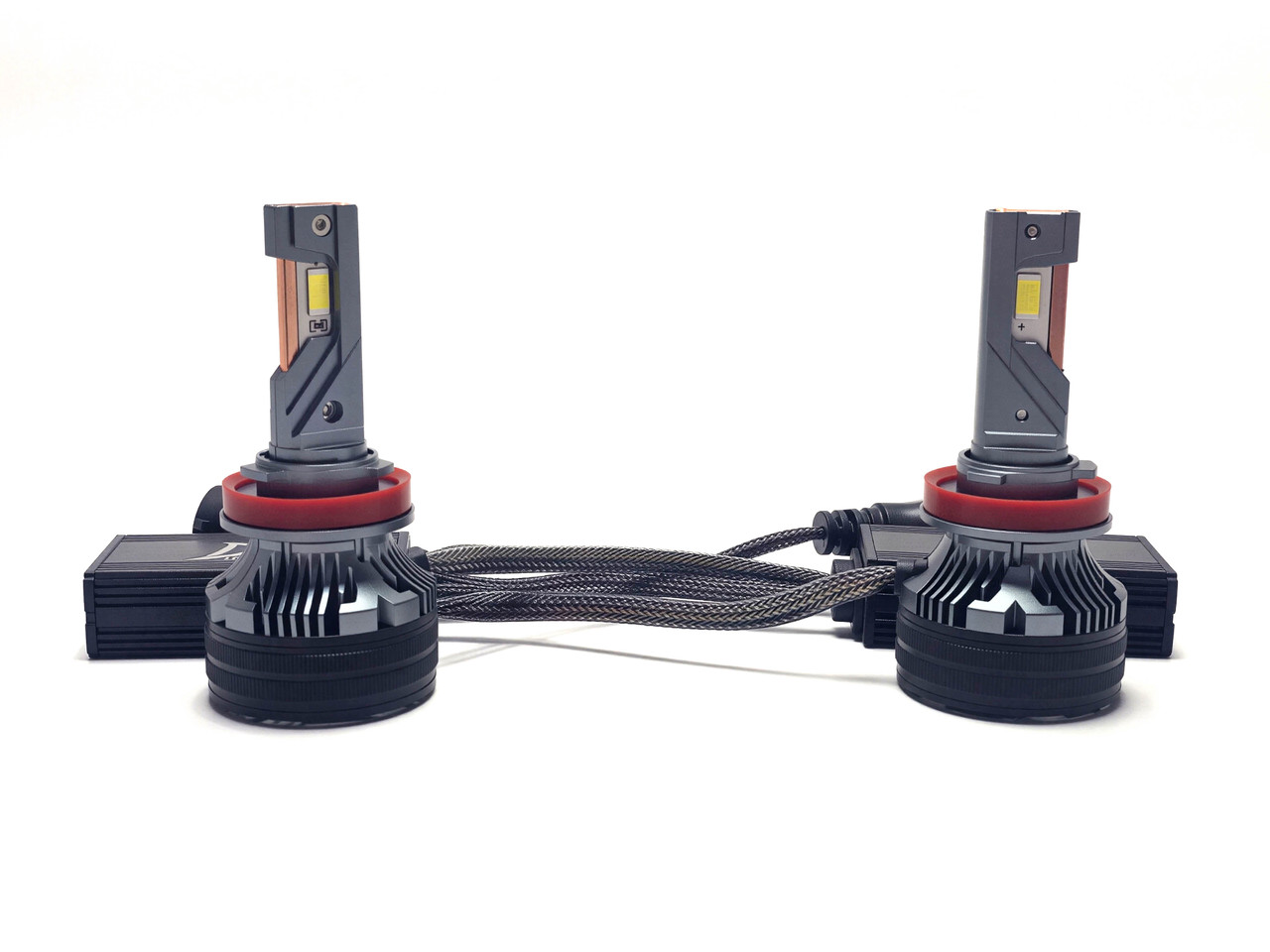 1000012672-artguru__64531.