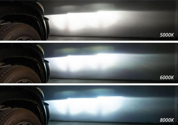D5S Stattus OE HID Bulbs