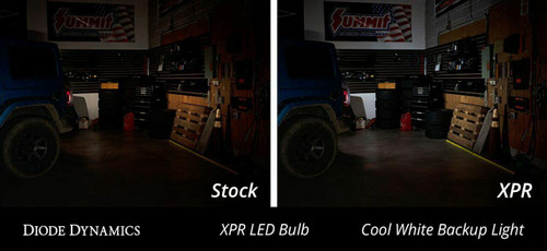 Diode Dynamics 3157 Diode Dynamic XPR LED Bulb