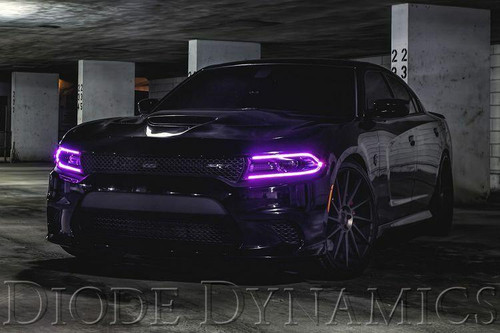 Diode Dynamics 2015-2018 Dodge Charger Diode Dynamics RGBW LED DRL Boards