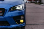 Diode Dynamics 2015-2017 Subaru WRX STI Diode Dynamics SS3 LED Fog Lights