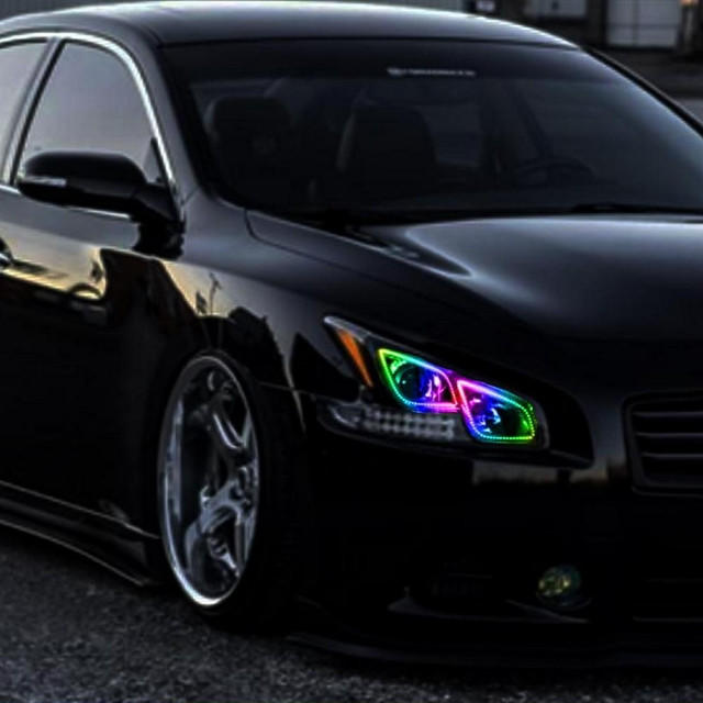 2009-2014 Nissan Maxima | Lighting Trendz LED Halo Kit
