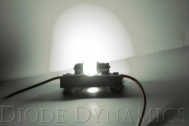 31mm Diode Dynamic HP6 LED Bulb