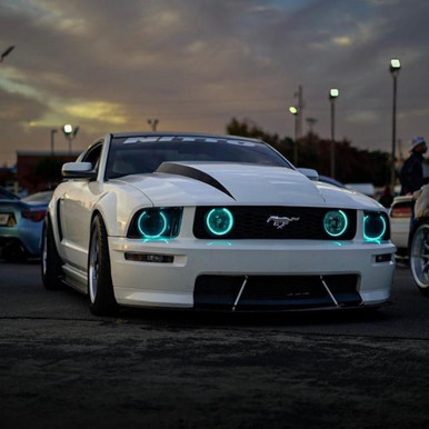 Lighting Trendz 2005-2009 Ford Mustang | Lighting Trendz Halo Kit