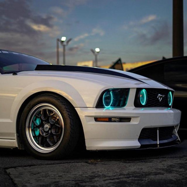 Lighting Trendz 2005-2009 Ford Mustang | Lighting Trendz Halo Kit