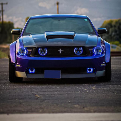 Lighting Trendz 2010-2012 Ford Mustang | Lighting Trendz Halo Kit