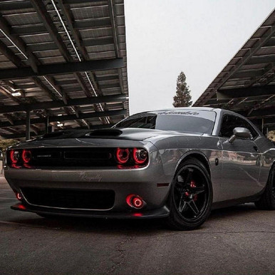 Lighting Trendz 2015-2020 Dodge Challenger | Lighting Trendz LED DRL Boards