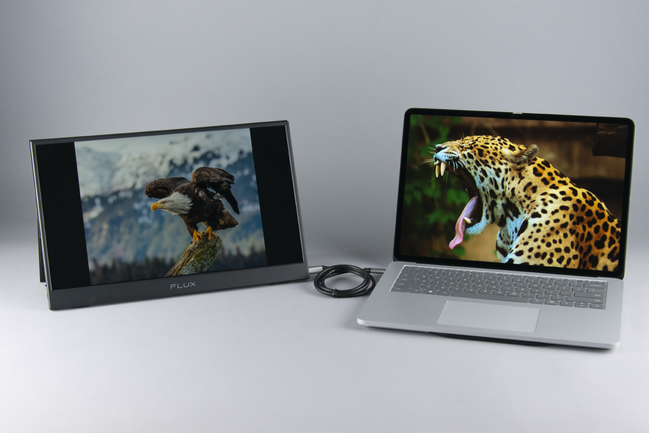 15.6" 1080P USB HDMI Monitor