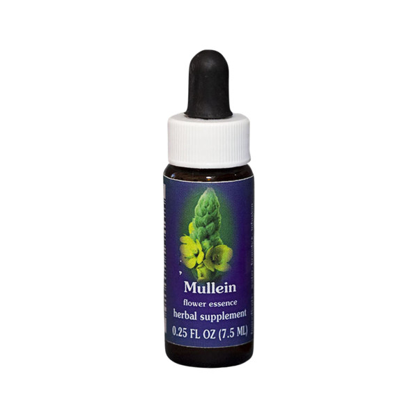 FES Quintessentials Mullein 7.5ml