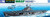 1/700 Waterline #715 USS Aircraft Carrier Wasp