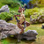 PRE-ORDER KEMOPLA #KP-05R Ibex