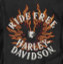 Hartley Davidson Ride Free Leather Jacket