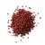 Annatto Seed SPICES Spiceology