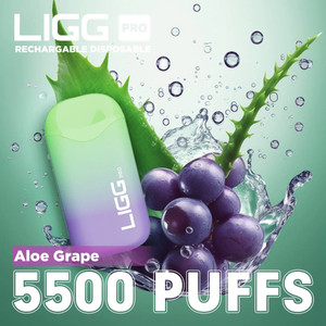 Ligg Pro 5500 Puffs Disposable Vape