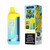 Fryd 12000 Puffs Disposable Vape