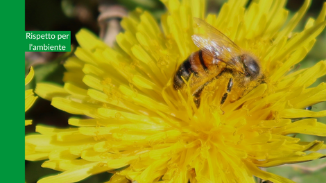 Rispetto per l'ambiente ?