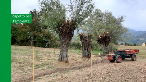 Rispetto per l'Ambiente - Piantumazione del Bosco Amara NZero