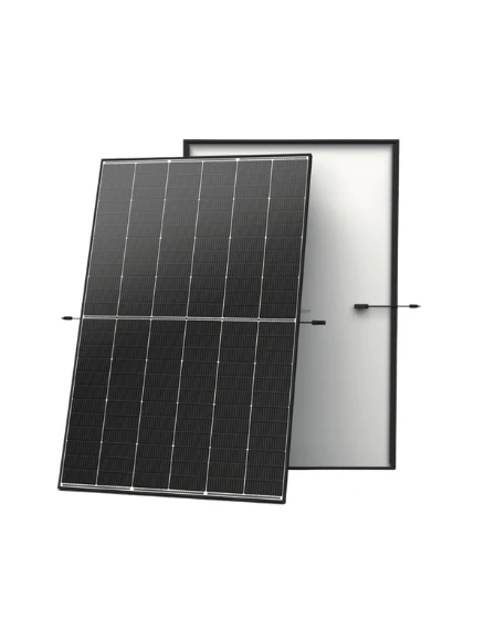 TRINA VERTEX S+ NEG9R.28 465 N-type Dual Glass