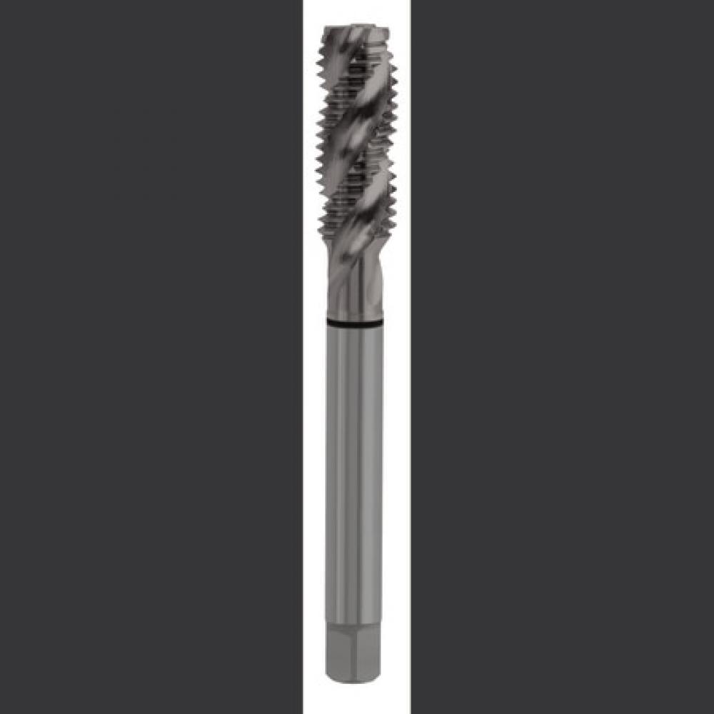 10-24 GH3 HSS-EX COMBO MODI SP FL STEAM OXIDE DIN LNGT ANSI SHK TAP