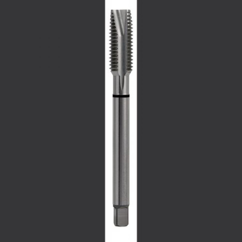 HSS-EX COMBO MODI SP PT STEAM OXIDE DIN LNGT ANSI SHK TAP