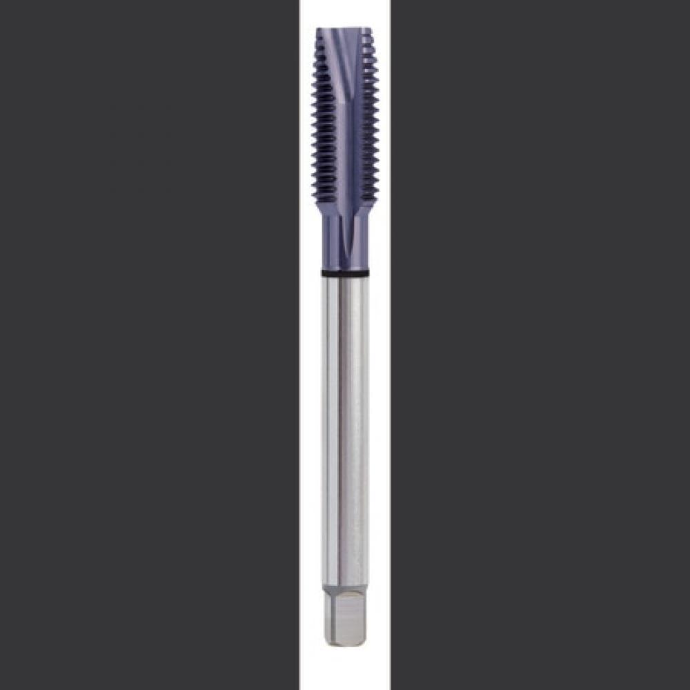 HSS-EX COMBO MODI SP PT TICN COATED DIN LNGT ANSI SHK TAP