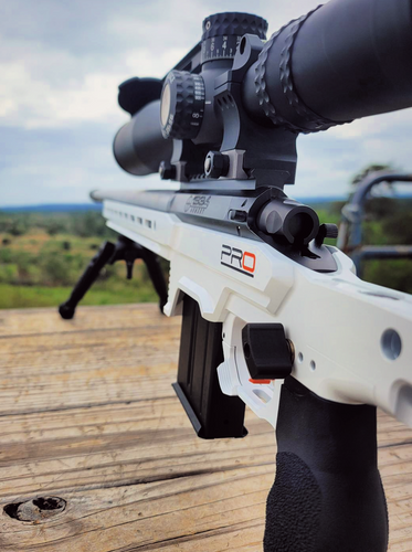 BE1 bolt action with smaller ejection port for enhanced rigidity and superior shooting precision, coated with protective full PVD finish